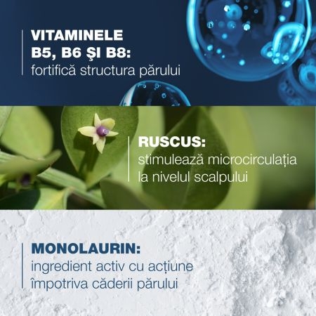 Sampon complementar impotriva caderii parului reactiva Anaphase, 200 ml, Ducray Sampon complementar impotriva caderii parului reactiva Anaphase, 200 ml, Ducray