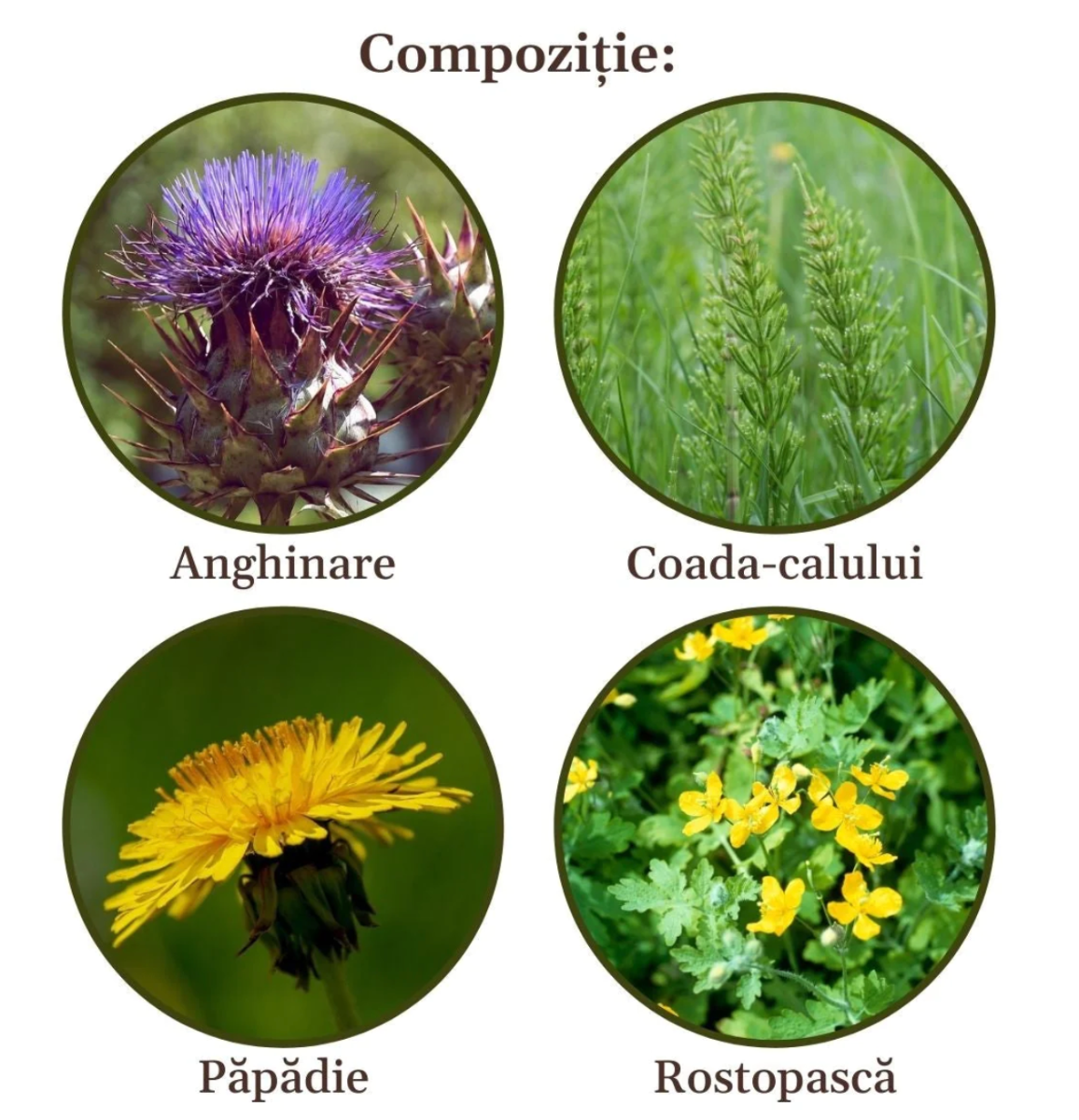Faunus Plant - Ceai Colesterolus 90g Faunus Plant - Ceai Colesterolus 90g