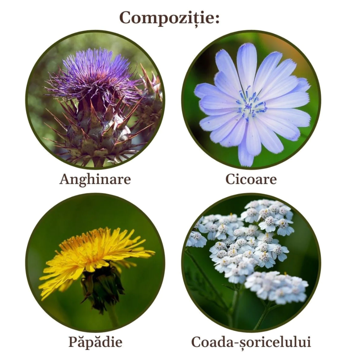 Faunus Plant - Ceai Hepatobiliarus 90g Faunus Plant - Ceai Hepatobiliarus 90g