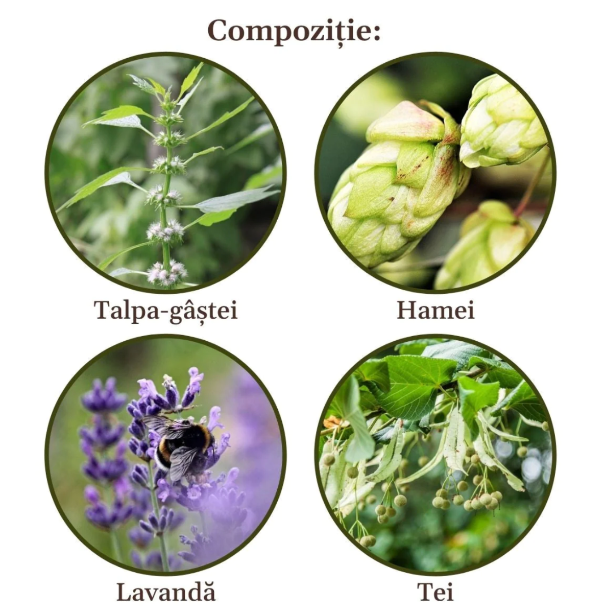 Faunus Plant - Ceai Nervocalmus 90g Faunus Plant - Ceai Nervocalmus 90g