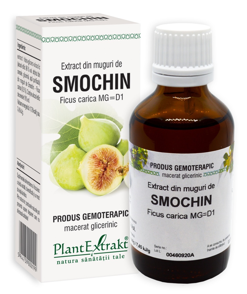 Plantextrakt - Extract din muguri de smochin 50ml Plantextrakt - Extract din muguri de smochin 50ml