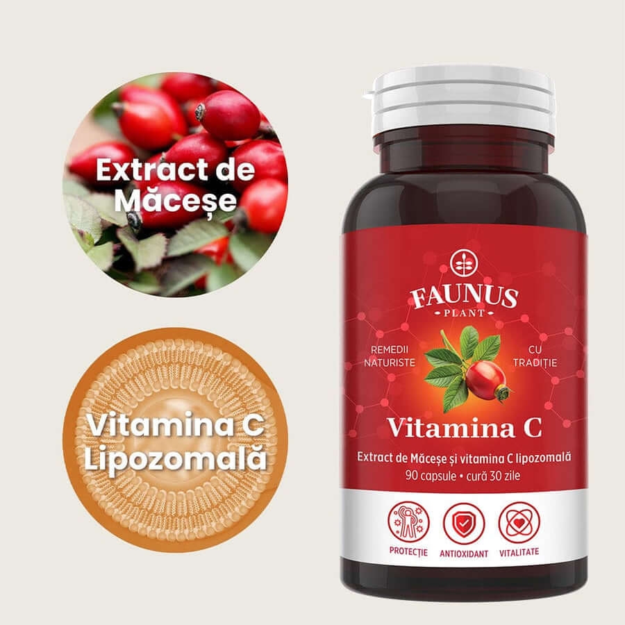 Vitamina C lipozomala cu extract de macese, 90 capsule, Faunus Plant Vitamina C lipozomala cu extract de macese, 90 capsule, Faunus Plant