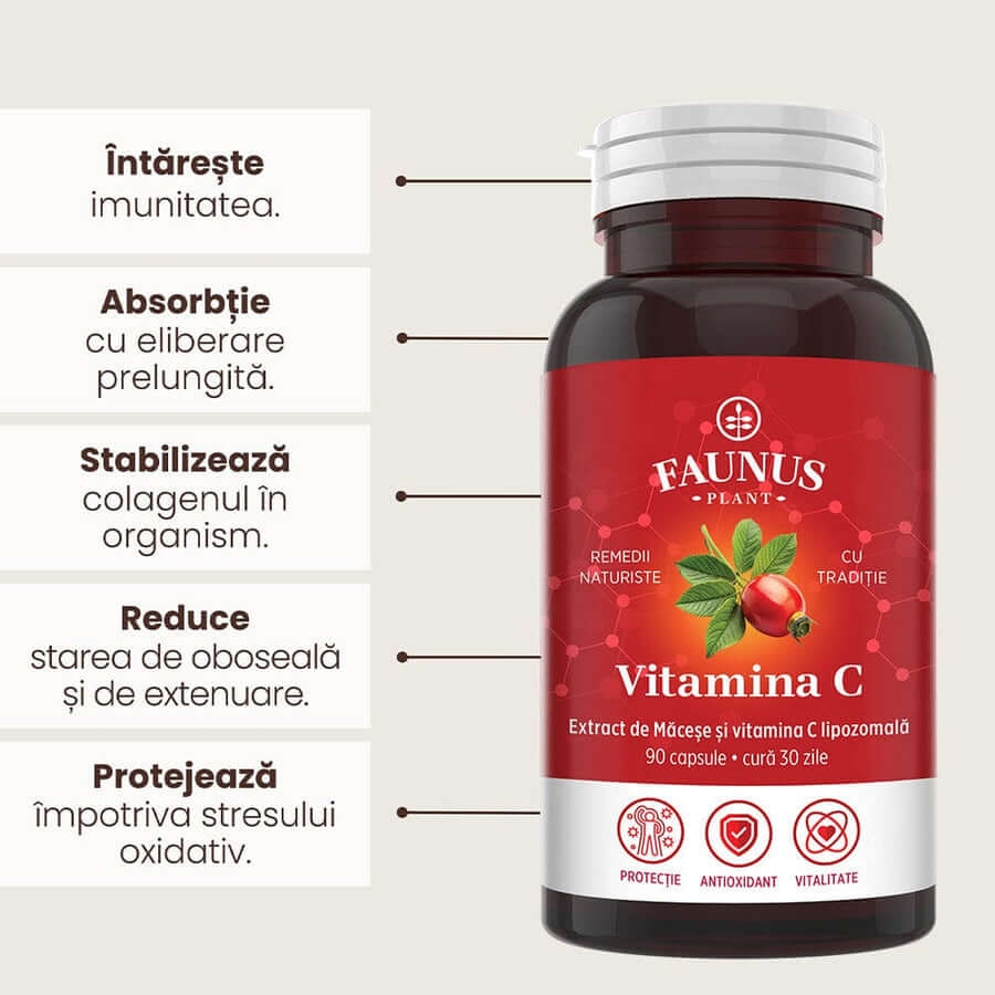 Vitamina C lipozomala cu extract de macese, 90 capsule, Faunus Plant Vitamina C lipozomala cu extract de macese, 90 capsule, Faunus Plant