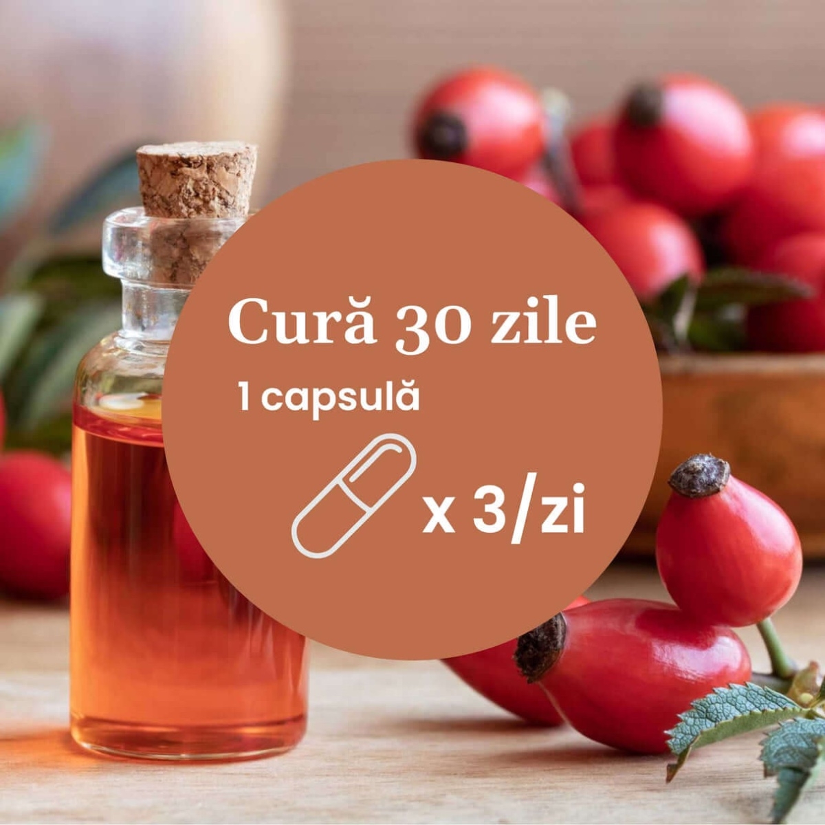 Vitamina C lipozomala cu extract de macese, 90 capsule, Faunus Plant Vitamina C lipozomala cu extract de macese, 90 capsule, Faunus Plant