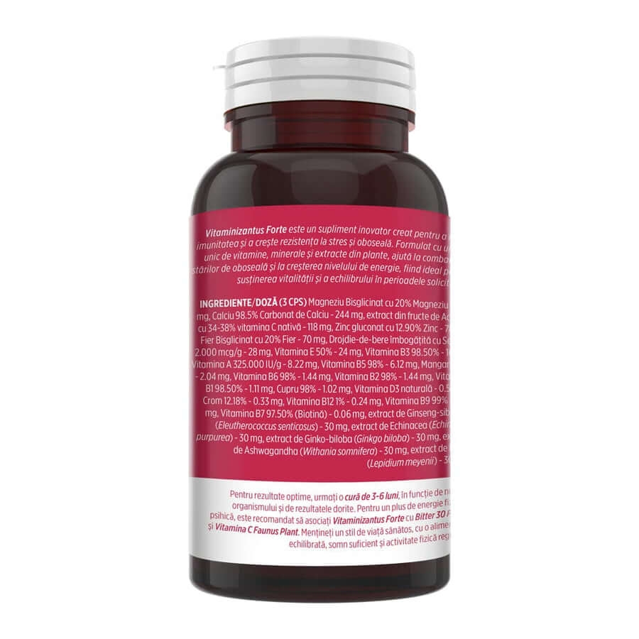 Vitaminizantus Forte, 90 capsule, Faunus Plant Vitaminizantus Forte, 90 capsule, Faunus Plant